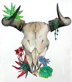 Original watercolor and ink cowskull